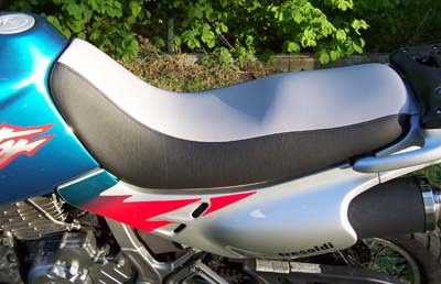 dominator motor�l�s